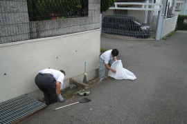 近隣清掃